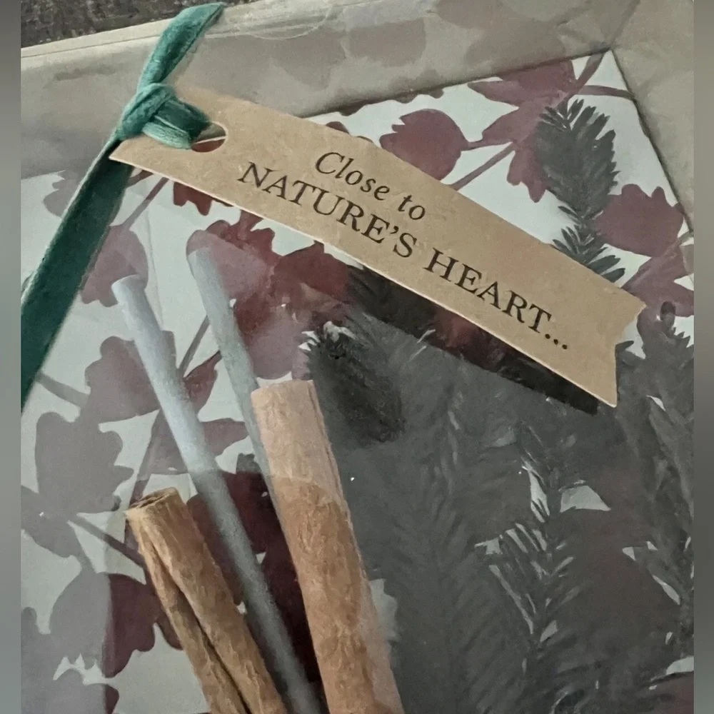 New Anthropologie Holiday Scented Oil Reed Diffuser Patchouli Clove Gift Set